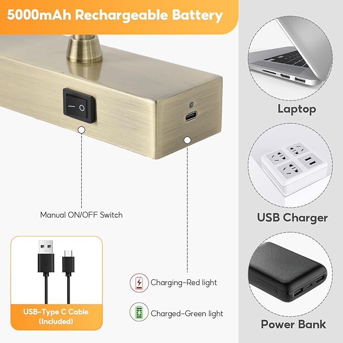 Picture Light for Wall Battery Operated, 12" Rechargeable Art Light with Remote and Timer for Painting, 3 Color Temps, Wireless Wall Light for Display, Artwork, Portrait, Gallery, Bronze