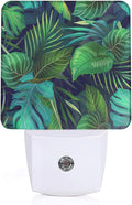 Green Palm Leaf Night Light, Tropical Plants Night Light Plug into Wall with Dusk to Dawn Sensor, LED Lamp Energy Saving Lights for Men Women Boys Girls,Lamp for Bedroom Bathroom Hallway