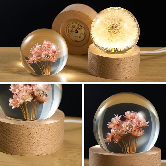 Daisy Lamp,2.4-Inch Flower Crystal Ball Night Light, Real Daisies Inside with Wood Base, Warm Bedroom Glow (Daisy)