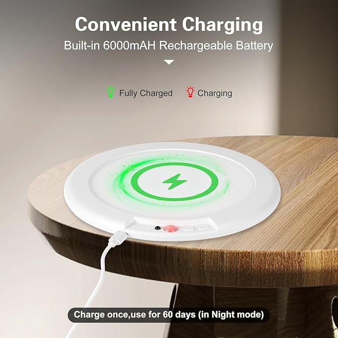 2 Pack Rechargeable Ceiling Light, Closet Lights Motion Sensored, Battery Powered Ceiling Light with Remote No Wiring, Wireless Ceiling Lights for Stairs, Garage, Hallway, Porch, Pantry, Shed