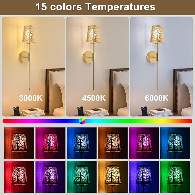 Rechargeable Wall Sconce, Battery Operated Wall Sconce Set of 2, Not Hardwired Wall Lights with Metal Shade, Gold Wireless RGB Wall Lights with Remote for Living Room Corridor Bedroom etc