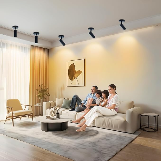 LED Ceiling Spotlight 3000K (Warm White 2Pack 12W No Dimmable,Spot Lights Black with 360° Pivoting Fixture, Adjustable Directional Indoor Spot Light,Tilt Angle Accent Lighting, 24°Beam Angle