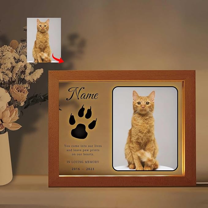 Personalized Pet Night Light Customized Dog Memorial Gift with Picture Name Date Light Up Acrylic Plaque Cat Sympathy Remembrance Gift(H-Cat Paw)