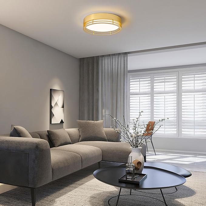 Dimmable Gold Flush Mount Ceiling Light, Modern Round LED Ceiling Lights Fixture, Kitchen Flushmount Light for Bedroom Hallway Kitchen 2700 K-6000 K 5CCT