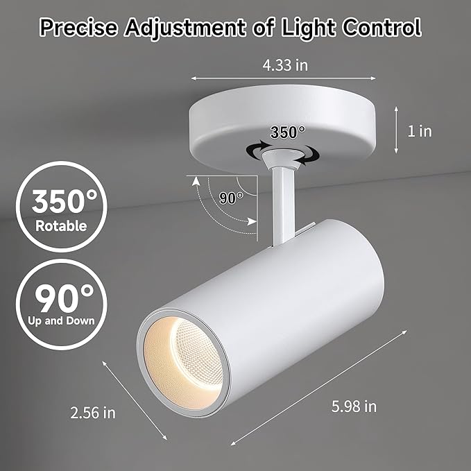 12W LED Monopoint Ceiling Spotlight Indoor - Adjustable Surface Accent Lamp for Corridor, Warm White 3000K, CRI 97 Anti-Glare Picture Painting Spot Light Fixtures, White
