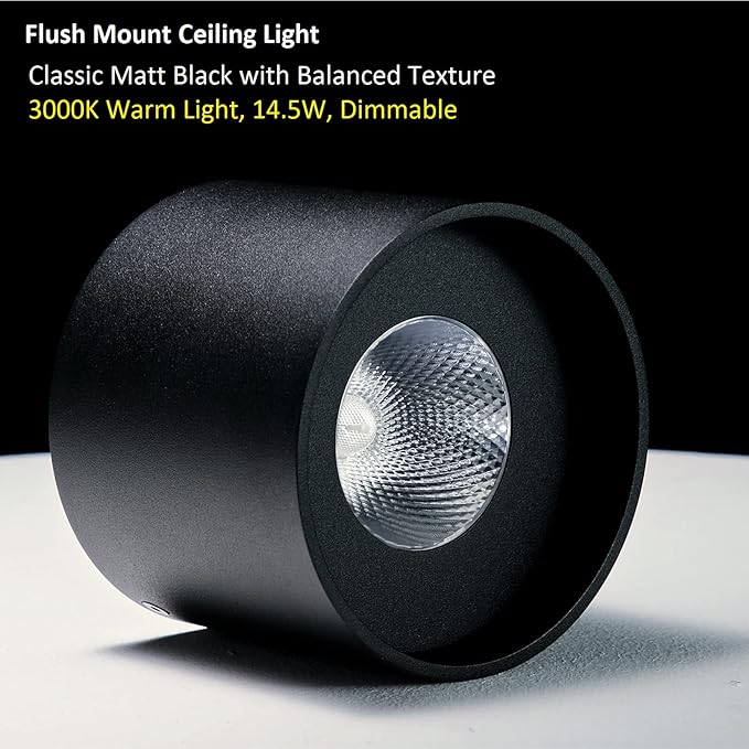 Ceiling Light Fixture, Flush Mount Ceiling Lights LED Dimmable Cylinder Ceiling Light Spot Light for Living Room Hallway Kitchen Dining Room Foyer 3000K 14.5W (Black) 2-Pack