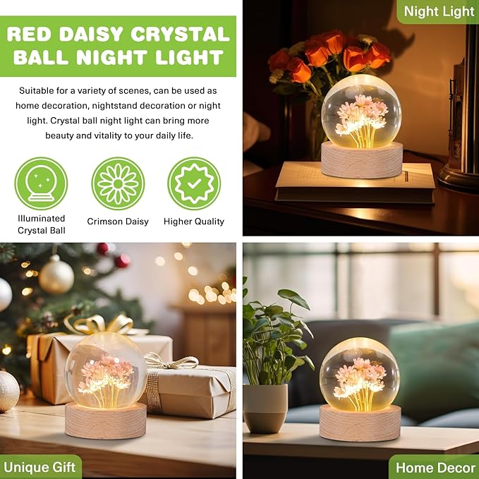 Daisy Lamp,2.4-Inch Flower Crystal Ball Night Light, Real Daisies Inside with Wood Base, Warm Bedroom Glow (Daisy)