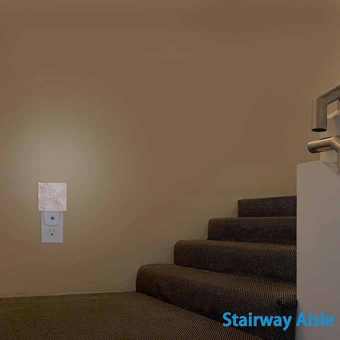 Night Lights Plug into Wall Rose Gold Leopard Night Lights Dusk to Dawn Sensor Led Lamp for Women Men,Led Lights for Stairway/Hallway/Bedroom,0.5W