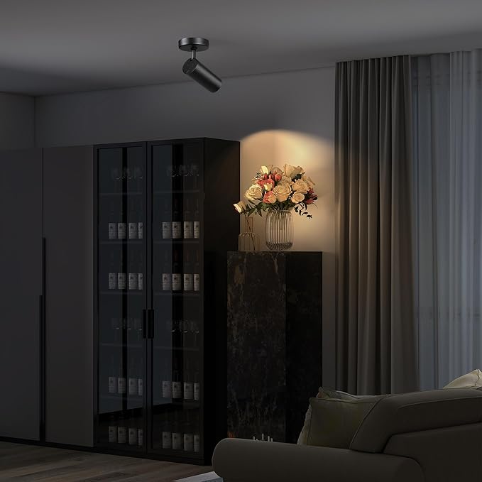 12W LED Dimmable Ceiling Spotlight Indoor - Adjustable Surface Accent Lamp for Corridor, Living Room, Warm White 3000K, CRI 97, Anti-Glare Picture Artwork Spot Light, Black