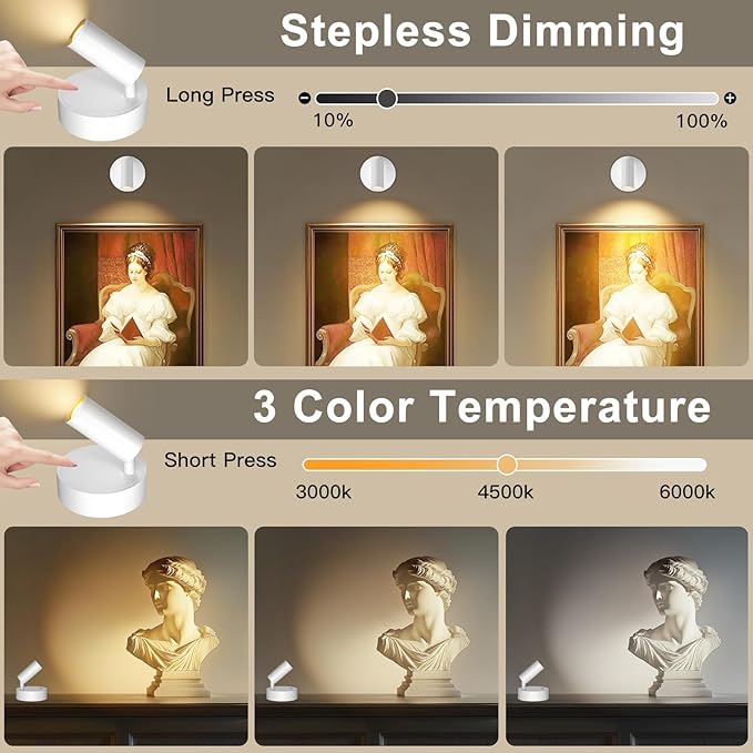 Kimjo Spot Lights Indoor, 4000mAh Rechargeable Plant Spotlight Indoor with Remote, Battery Operated Picture Lights with Timer Dimmable, Uplighting for Wall Art Display