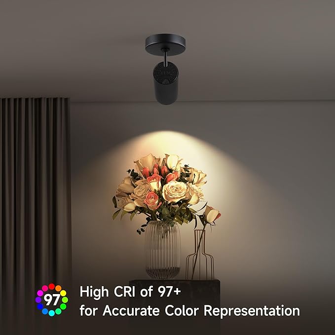 12W LED Dimmable Ceiling Spotlight Indoor - Adjustable Surface Accent Lamp for Corridor, Living Room, Warm White 3000K, CRI 97, Anti-Glare Picture Artwork Spot Light, Black 2 Packs