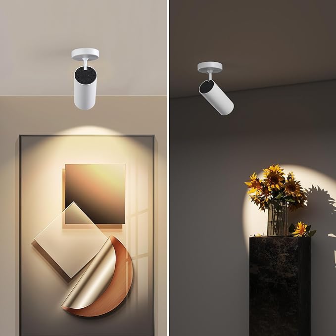 12W LED Dimmable Ceiling Spotlight Indoor - Adjustable Surface Accent Lamp for Corridor, Living Room, Warm White 3000K, CRI 97 Anti-Glare Picture Artwork Spot Light, White Finish, 2 Packs