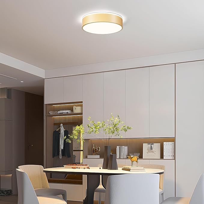 Vikaey Gold LED Ceiling Light Modern Flush Mount Light Fixture Not Dimmable Round Metal Ceiling Lamp with Acrylic Lampshade for Living Room Entryway Bedroom Kitchen 15.74 Inch