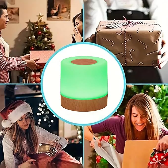 Nightlight, LED Bedside Touch Light, 5-Level Brightness with 13 RGB Color Ambient Lights, USB Rechargeable Desk lamp, Suitable for Bedroom Decoration/Holiday Gift Giving