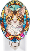 Cat Night Light Tabby Made with Real Glass Plug-in Vertical Outlet Bulb Included On/Off Switch Gift for Cat Lovers Pet Memorial