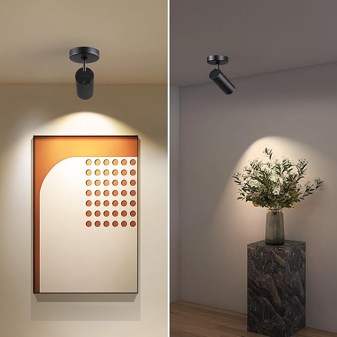 12W LED Dimmable Ceiling Spotlight Indoor - Adjustable Surface Accent Lamp for Corridor, Living Room, Warm White 3000K, CRI 97, Anti-Glare Picture Artwork Spot Light, Black 2 Packs