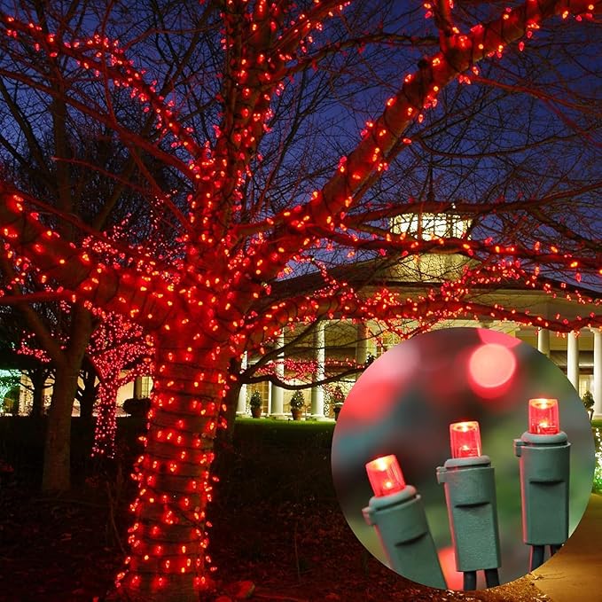 LAMPHOME 60LED Red Valentine Lights, Valentine Room Lights Green Wire, Connectable Plug in red Christmas String Light Indoor Outdoor for Christmas Bedroom Valentines Party