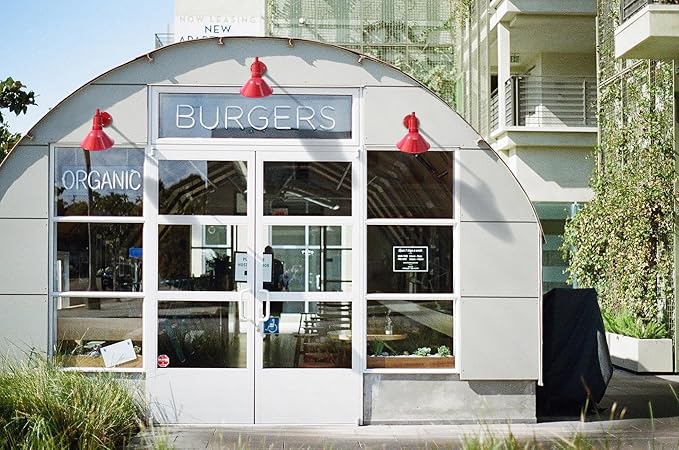 Steel Lighting Co. Venice Store Sign Light | for Outdoor Restaurant Accent Wall | 9 inch Dome | 11 inch Gooseneck | Made in America | Galvanized Exterior/Galvanized Interior
