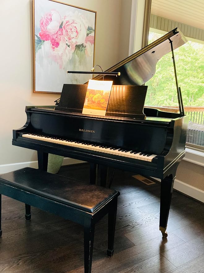 Cocoweb 19" LED Grand Piano Light in Black with Brass Accents with Dimmer Clip