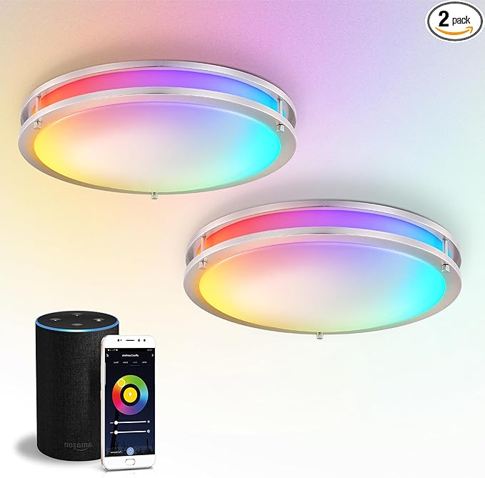 ASD LED 18" Round Flush Mount Lighting, Close to Ceiling Light Fixture | Smart, Multicolor, Dimmable, ETL Listed | 28W 1850LM RGB-2700-6500K 120V | Low Profile Double Ring Lamp | Nickel, 2 Pack