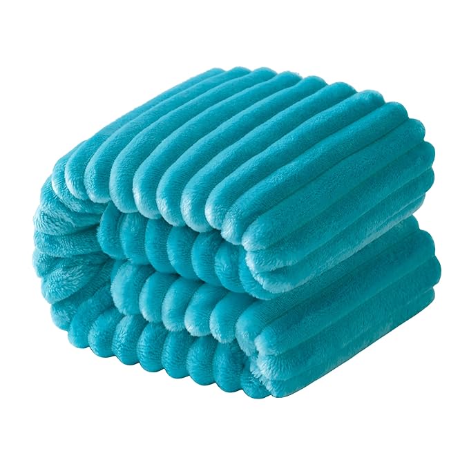 NTBAY Flannel Fuzzy Toddler Blanket, Fluffy Warm and Lightweight Reversible Stripes Design Baby Plush Blanket, 30x40 Inches, Turquoise