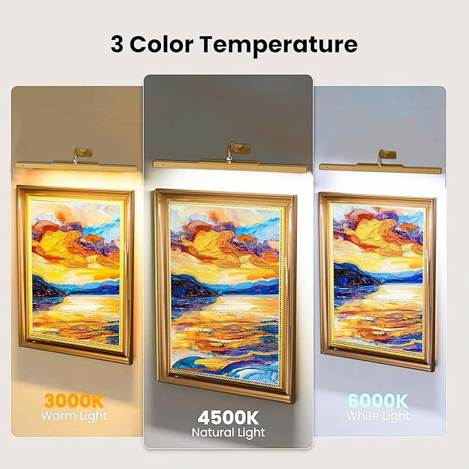 2 Pack 24 Inch Wall Lights for Pictures - Brass Cordless Rechargeable Wall Sconces with Dimmable Remote for Above Mirror, Painting & Décor