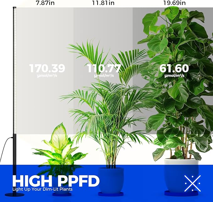 Barrina T10 Pro Standing Grow Light with Timer, 42W, 5000K, Full Spectrum Vertical Tall Grow Lights for Indoor Plants, Wide Coverage, 4FT to 5.6FT Height with Foot Switch, for Flower and Tall Plants