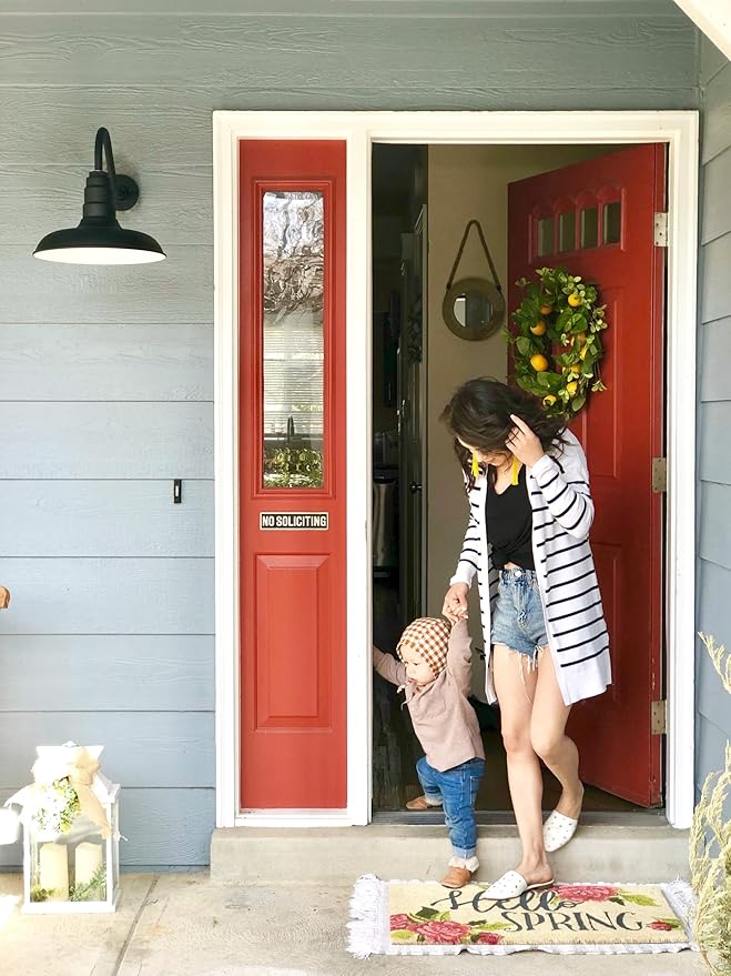 Steel Lighting Co. Topanga Barn Light | Outdoor Wall Mounted | 14 inch Dome | 11" Gooseneck | Farmhouse Garage Light Made in America | Navy Blue Exterior/Brass Interior