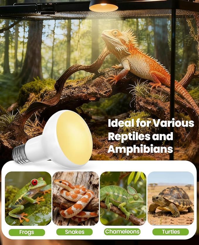KINDEEP Reptile Basking Light Bulb: 150W Reptile Heat Lamp 2 Pack UVA Daylight Basking Bulb for Amphibian Bearded Dragon Lizard Tortoise Turtle Snake Chicken Pets Heating