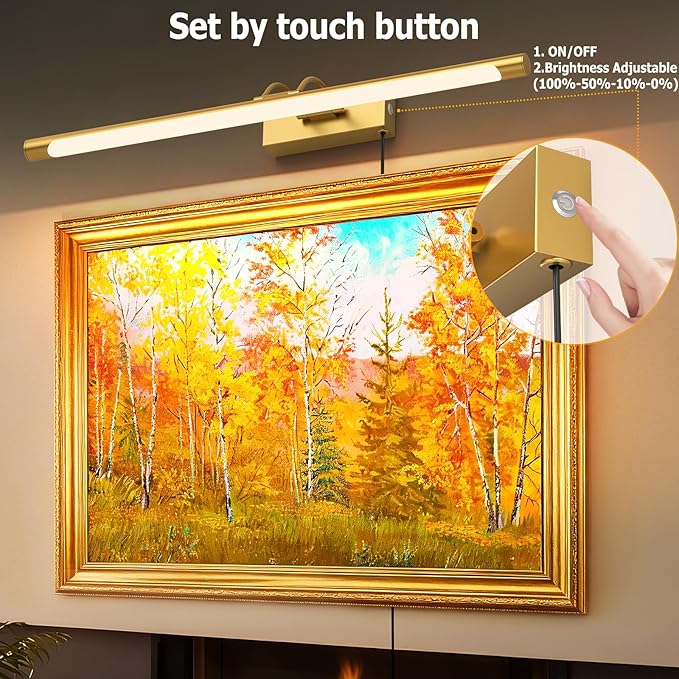 Plug in Picture Light for Wall Mural Art Light with On/Off Switch, 3000K Warm White Brightness Adjustable Gallery Painting Lights for Picture Display Dartboard Art Work (Brush Gold, 24inch)