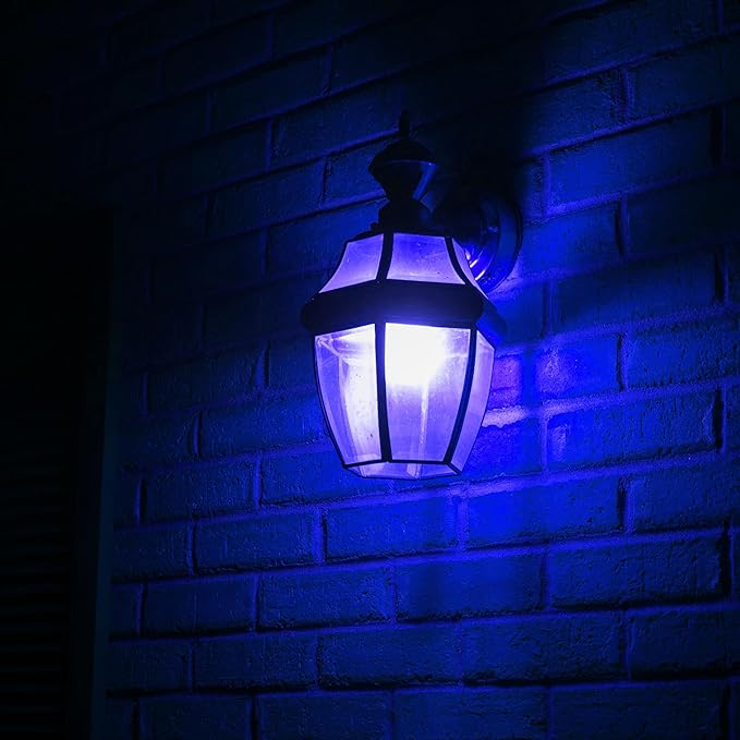 Mandala Crafts Clear 25 Watt Blue Light Bulbs E26 Medium Base 120V 25W Blue Bulbs