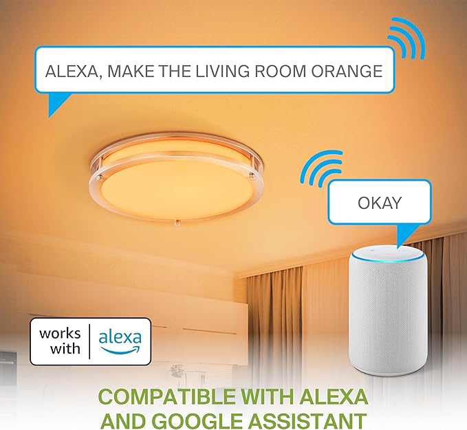 ASD LED 18" Round Flush Mount Lighting, Close to Ceiling Light Fixture | Smart, Multicolor, Dimmable, ETL Listed | 28W 1850LM RGB-2700-6500K 120V | Low Profile Double Ring Lamp | Nickel, 2 Pack