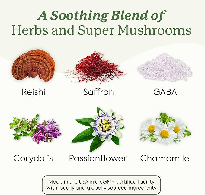Plant People WonderSleep Mushroom Gummies Supplement for Sleep, No Melatonin with Reishi Super Mushrooms, Wild Elderberry Flavor, No Sugar (60 Count)