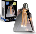 Next Glow Decorative Light Bulb Eq 20W ICE Style Shaped E26 Led Bulb Medium Base, Dimmable, Smoke/Grey Warm Light Bulb 55 Lumen, with Virtual Filament, Inner Pillar, Edison Light Bulbs LED for Home