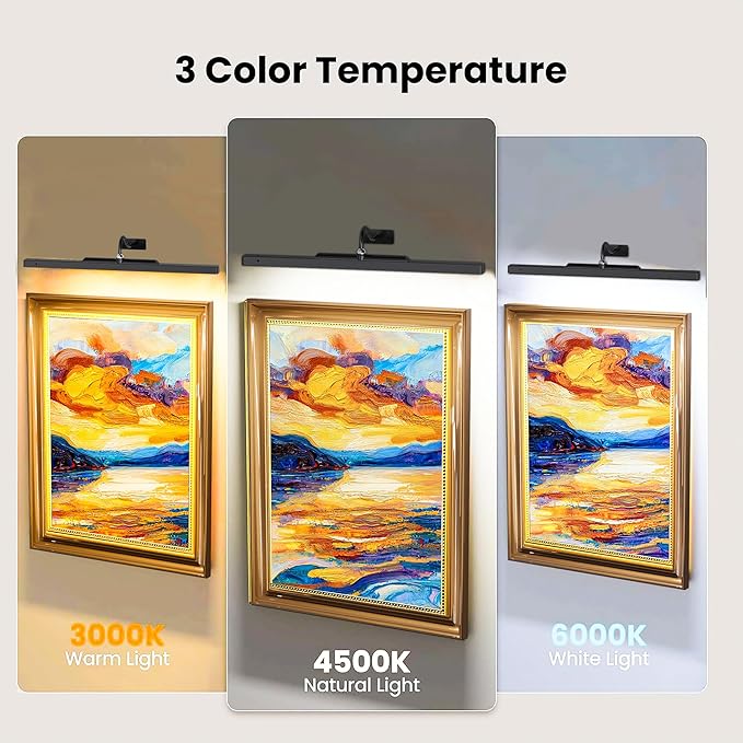 24 Inch Picture Light - Black Battery Operated Wireless Wall Sconce with Remote & Timer for Paintings, Gallery, Mirror & Artwork