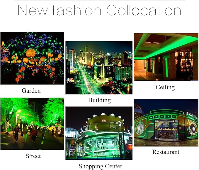 5050-60 Type AC 110-120V Green LED Strip Lights, Flexible/Waterproof/Dimmable/Multi-Modes LED Rope Light + 23 Keys Remote for Home/Garden/Building Decoration (98.4ft/30m, Green)