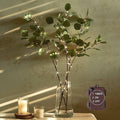 Hairui Lighted Eucalyptus Branches with Timer 24IN 36 LED Battery Operated for Wedding Christmas Party Home Spring Decor (Vase not Included)