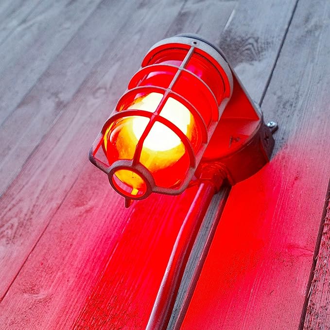 Mandala Crafts Clear 25 Watt Red Light Bulbs E26 Medium Base 120V 25W Red Bulbs